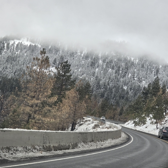 Meet your Posher, Sitha - Picture 2 of 2